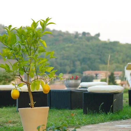 Bed & Breakfast Beb Montefratta