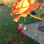 Beb Montefratta Bed & Breakfast 3*