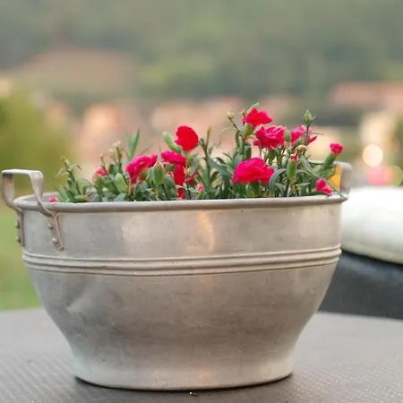 Bed & Breakfast Beb Montefratta