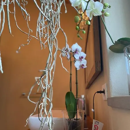 Bed and Breakfast Beb Montefratta 3*