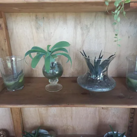 Bed & Breakfast Beb Montefratta 3*