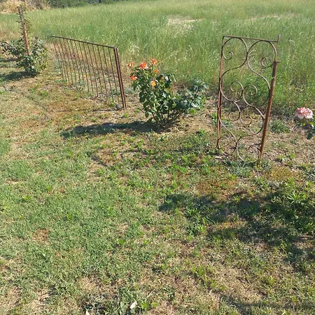 Beb Montefratta Bed & Breakfast Fratta Terme