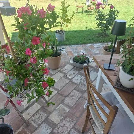 Bed & Breakfast Beb Montefratta Fratta Terme