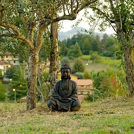 Beb Montefratta 3* Fratta Terme