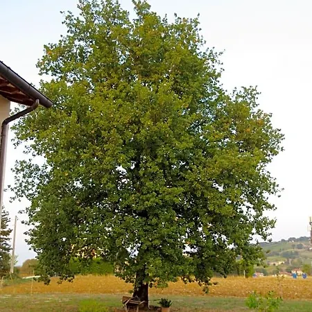 Bed and Breakfast Beb Montefratta Fratta Terme