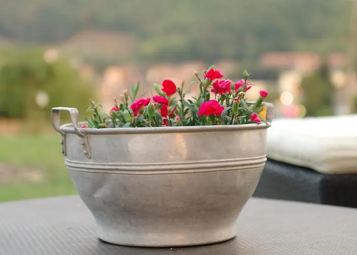 Bed & Breakfast Beb Montefratta