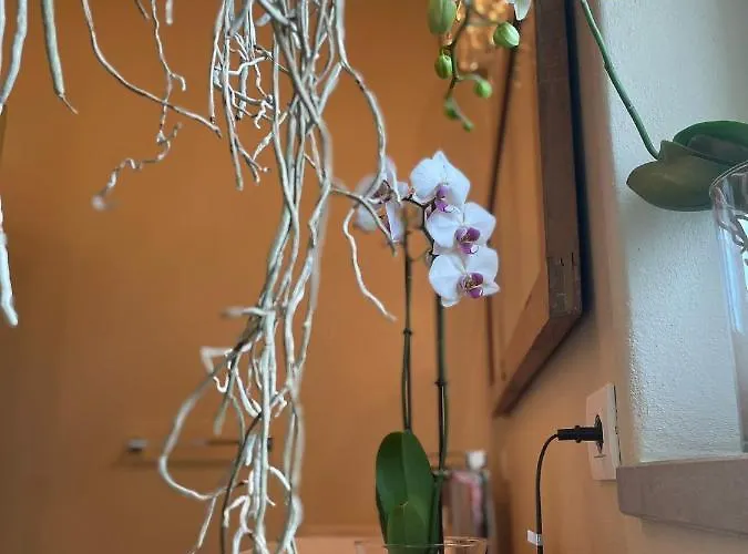 Bed & Breakfast Beb Montefratta 3*