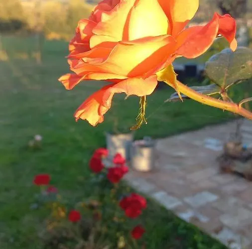 Beb Montefratta Bed & Breakfast 3*