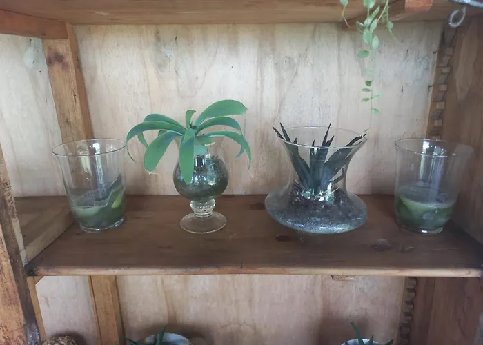 לינה וארוחת בוקר Beb Montefratta 3*